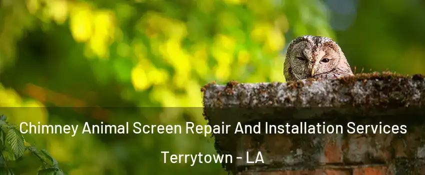  Chimney Animal Screen Repair And Installation Services Terrytown - LA