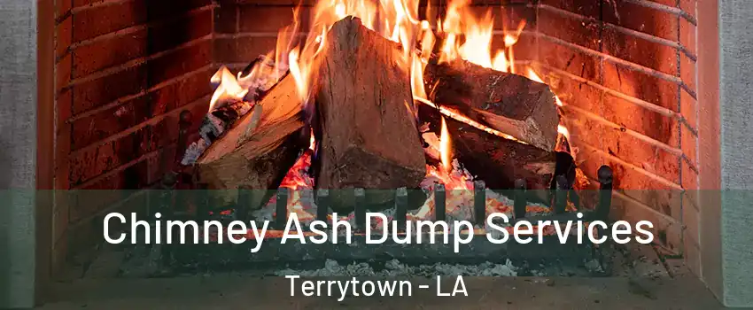  Chimney Ash Dump Services Terrytown - LA