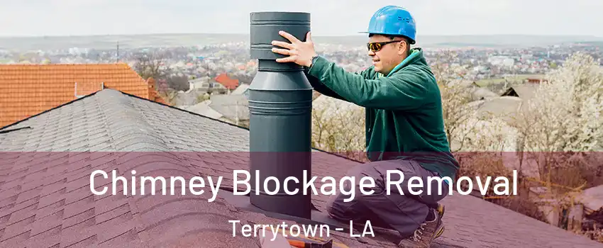  Chimney Blockage Removal Terrytown - LA