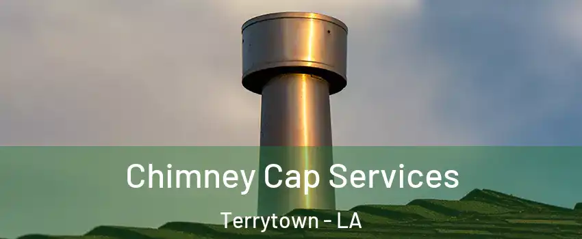  Chimney Cap Services Terrytown - LA