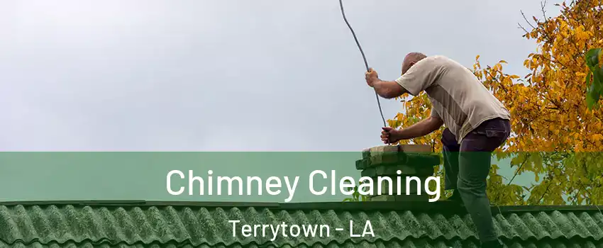  Chimney Cleaning Terrytown - LA