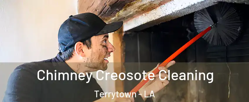  Chimney Creosote Cleaning Terrytown - LA