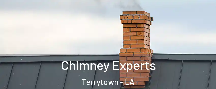 Chimney Experts Terrytown - LA
