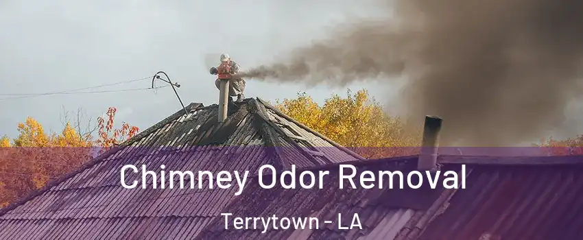  Chimney Odor Removal Terrytown - LA