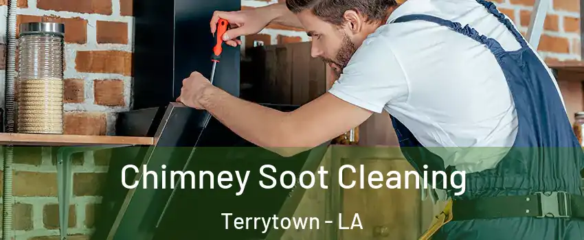  Chimney Soot Cleaning Terrytown - LA