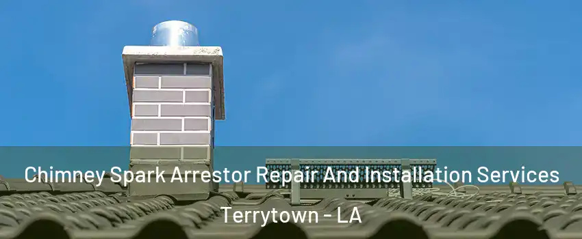  Chimney Spark Arrestor Repair And Installation Services Terrytown - LA