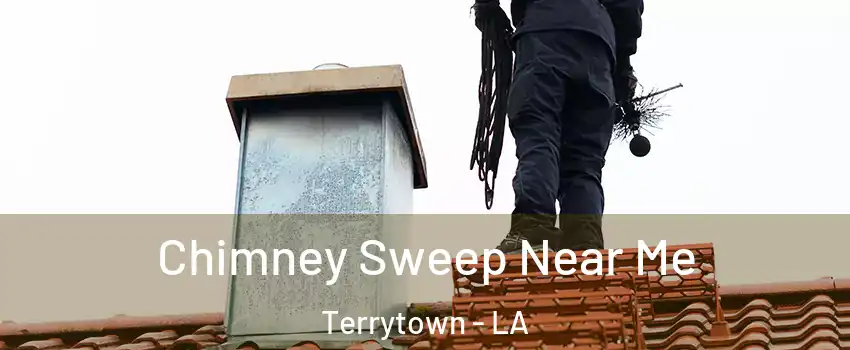  Chimney Sweep Near Me Terrytown - LA