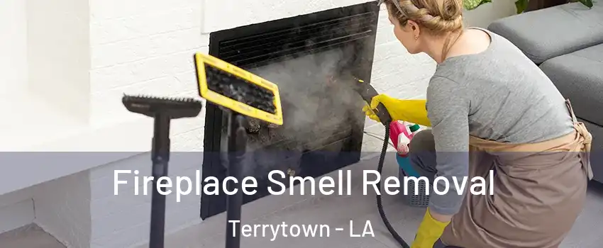  Fireplace Smell Removal Terrytown - LA