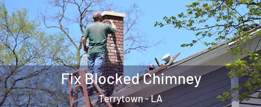  Fix Blocked Chimney Terrytown - LA
