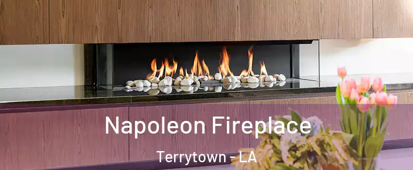  Napoleon Fireplace Terrytown - LA